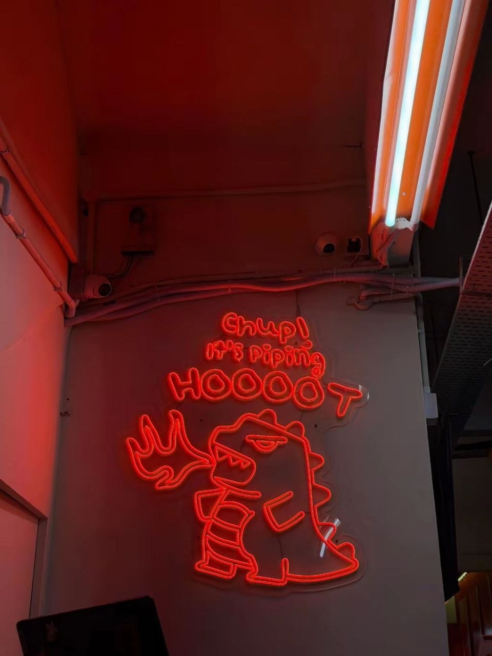 HOTZILLA NEON SIGN
